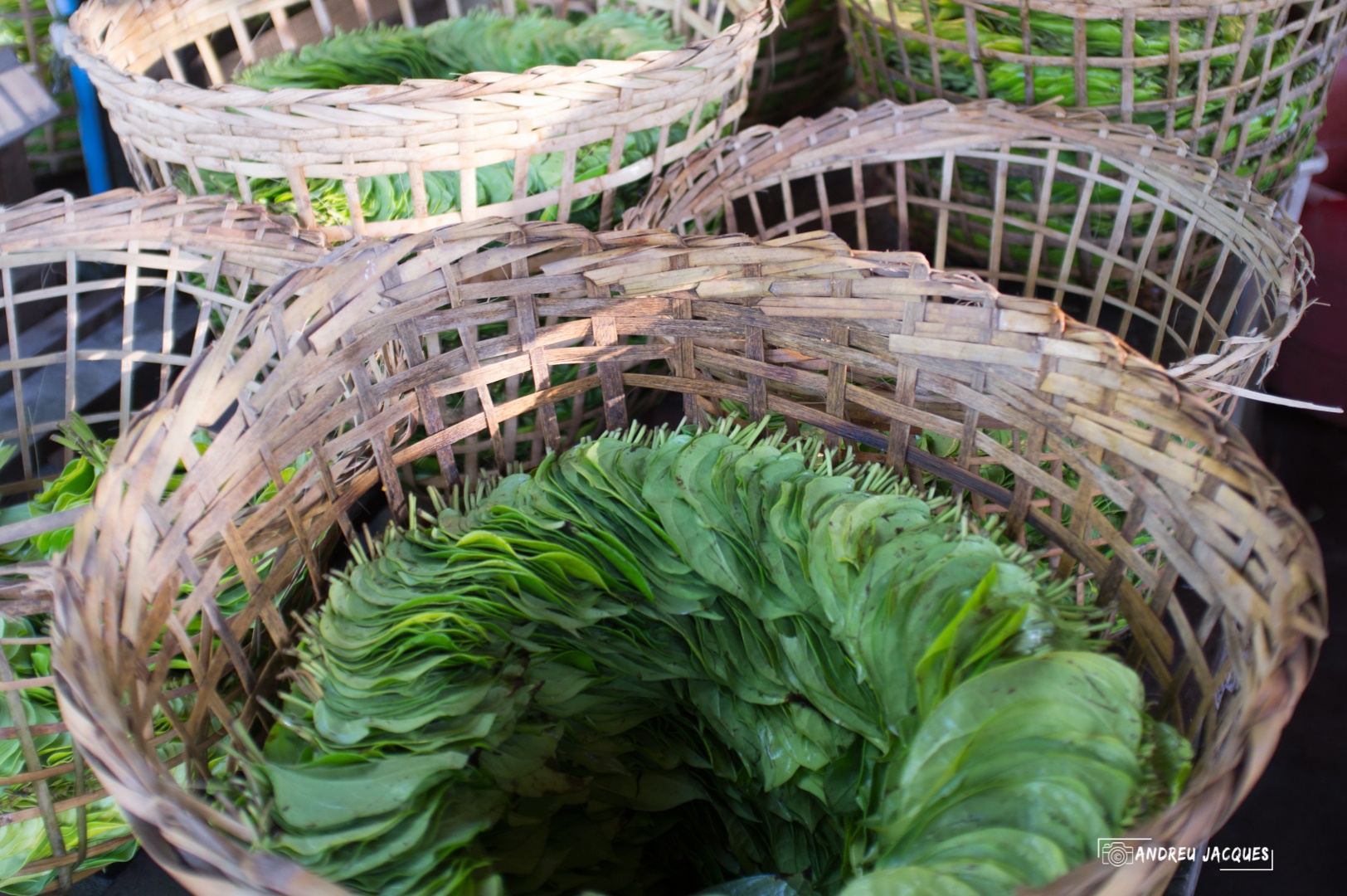 birmanie-140 (Grand).jpg